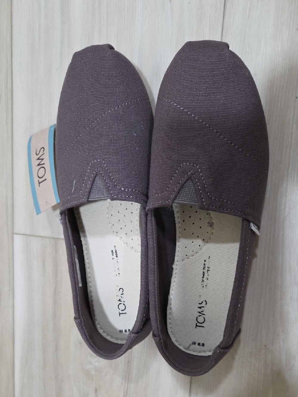 Toms Slip-On Canvas Shoes in Dark Brown